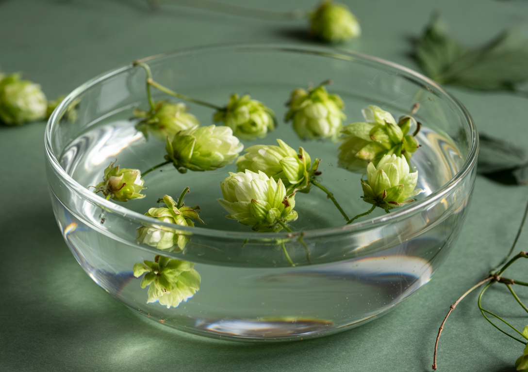 The Skin Benefits of Fresh Hops in Spa Treatments